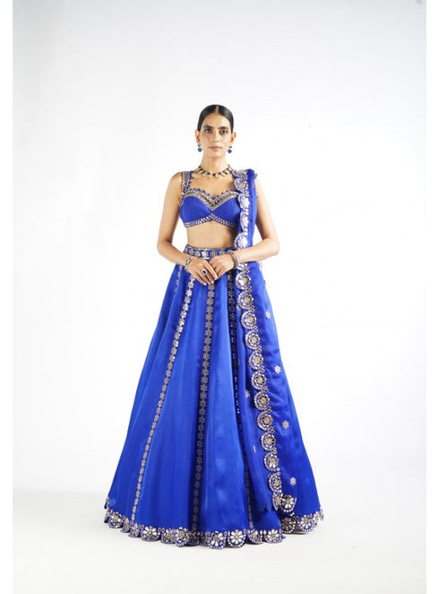Royal Blue Flower Linear Lehenga Set