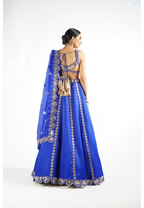 Royal Blue Flower Linear Lehenga Set