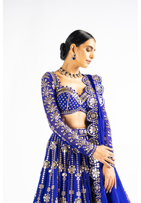 Royal Blue Big Flower Linear Lehenga Set