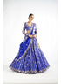 Royal Blue Small Flower Linear Lehenga Set