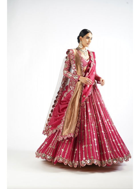 Mellow Wine Small Flower Linear Lehenga Set