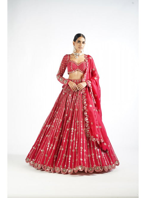 Crimson Red Small Flower Linear Lehenga Set