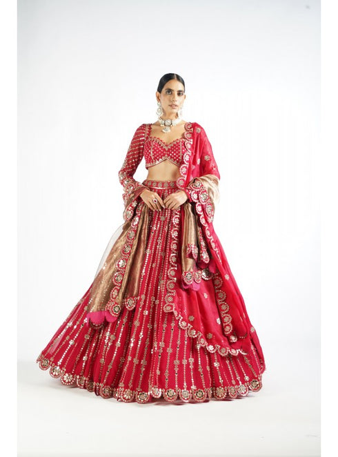 Crimson Red Small Flower Linear Lehenga Set