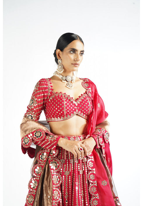 Crimson Red Small Flower Linear Lehenga Set