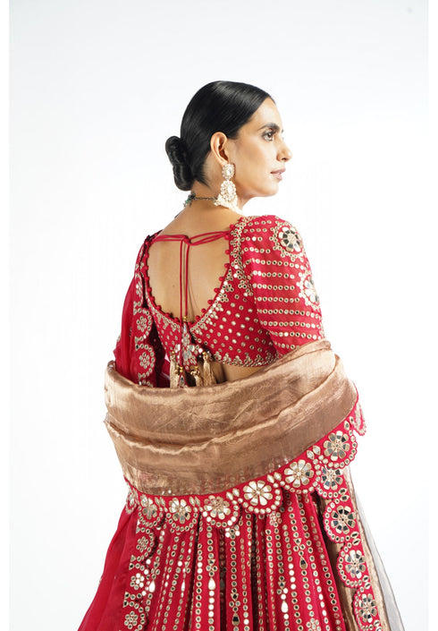 Crimson Red Small Flower Linear Lehenga Set