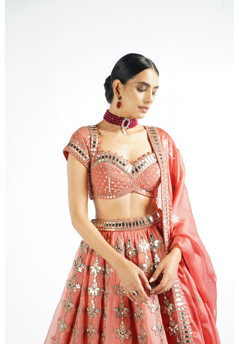Mellow Rose Chandelier Drop Lehenga Set