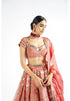 Mellow Rose Chandelier Drop Lehenga Set