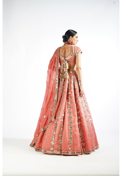 Mellow Rose Chandelier Drop Lehenga Set