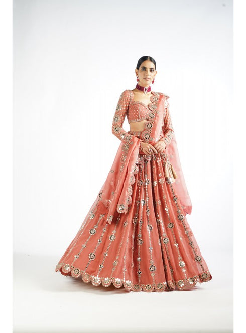Mellow Rose Big Flower Linear Lehenga Set