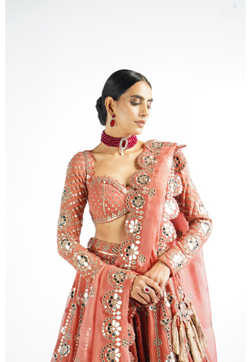 Mellow Rose Big Flower Linear Lehenga Set