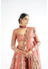 Mellow Rose Big Flower Linear Lehenga Set