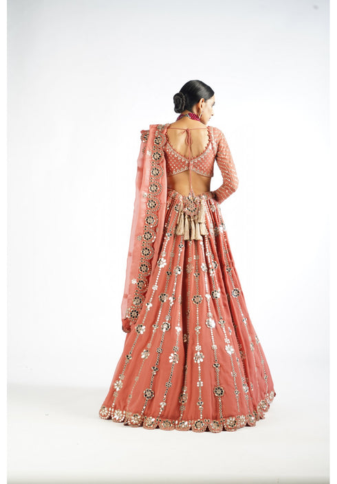 Mellow Rose Big Flower Linear Lehenga Set